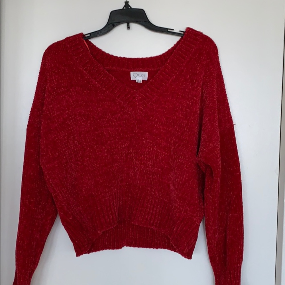 LF new sweater  (tag popped off)